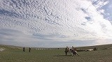 内モンゴル草原キャンプ